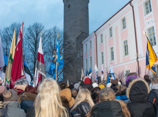 Eesti Vabariigi 99. aastapäeva tähistamine